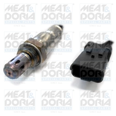 Oxygen Sensor
